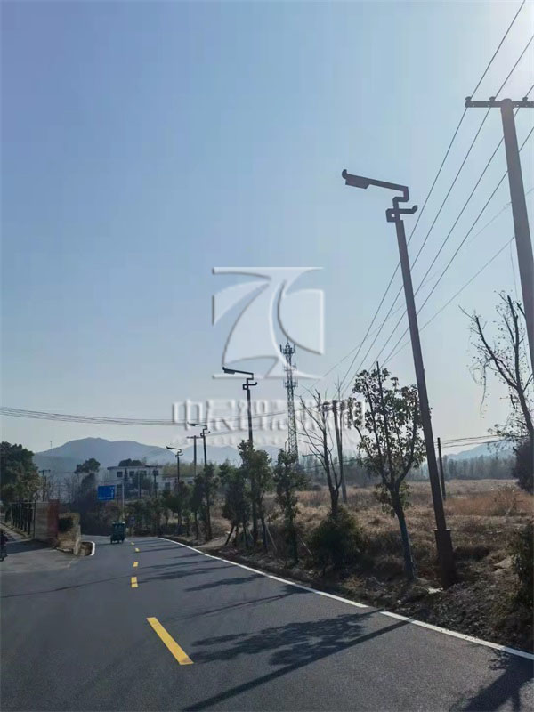 狄公小鎮路燈案例