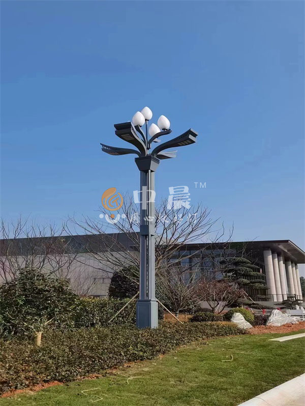 太陽(yáng)能路燈安裝案列圖展示